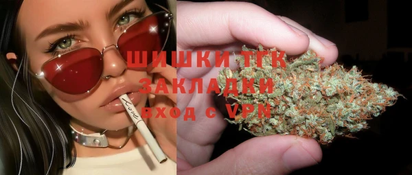 шишки Абаза
