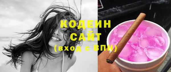 шишки Абаза