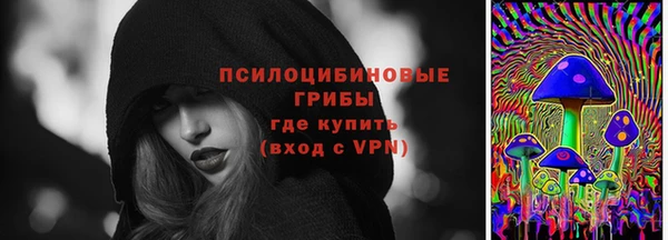 шишки Абаза
