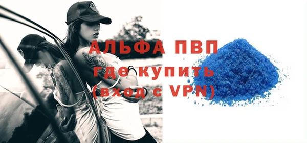шишки Абаза