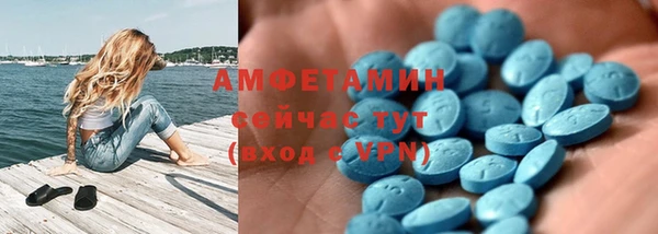 шишки Абаза