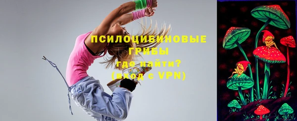 шишки Абаза