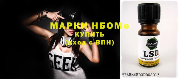 шишки Абаза